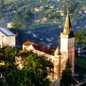 Tour Đà Lạt 2N1Đ: Khám Phá Đà Lạt Ngàn Hoa