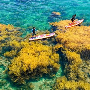 Tour Quy Nhơn - Phú Yên 4N3Đ: Bình Yên Phố Biển