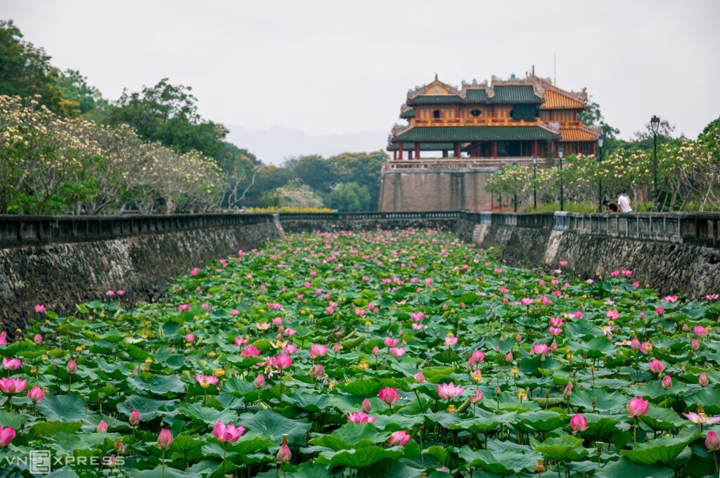 Kinh nghiệm du lịch Huế dịp tết - Khám phá du lịch cùng Thi Hoài Nhân Travel