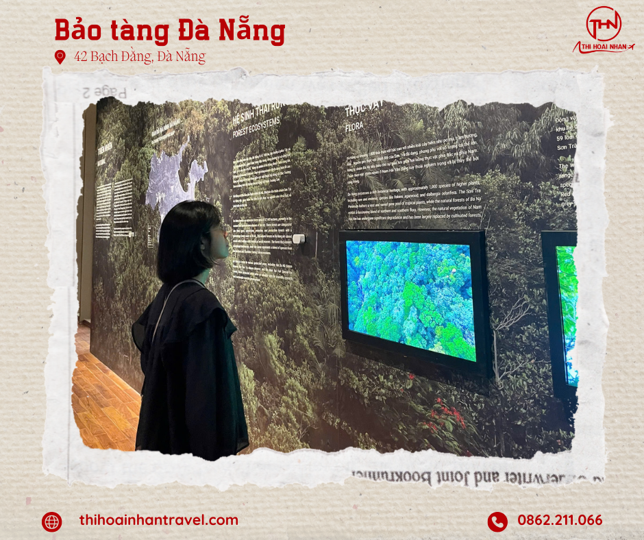 Khám phá bảo tàng Đà Nẵng cùng Thi Hoài Nhân Travel
