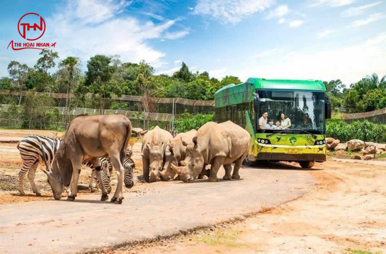 Du lịch Phú Quốc - Safari Phú Quốc- Thi hoài nhân travel