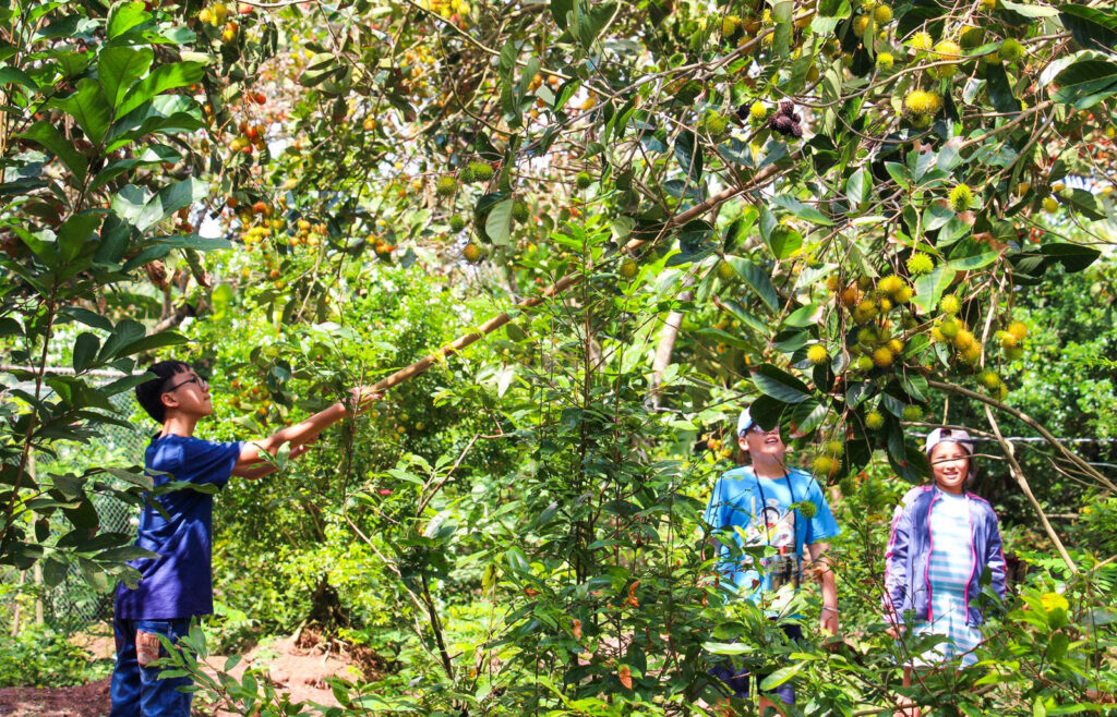 TOUR LỤC TỈNH MIỀN TÂY 4 NGÀY 3 ĐÊM