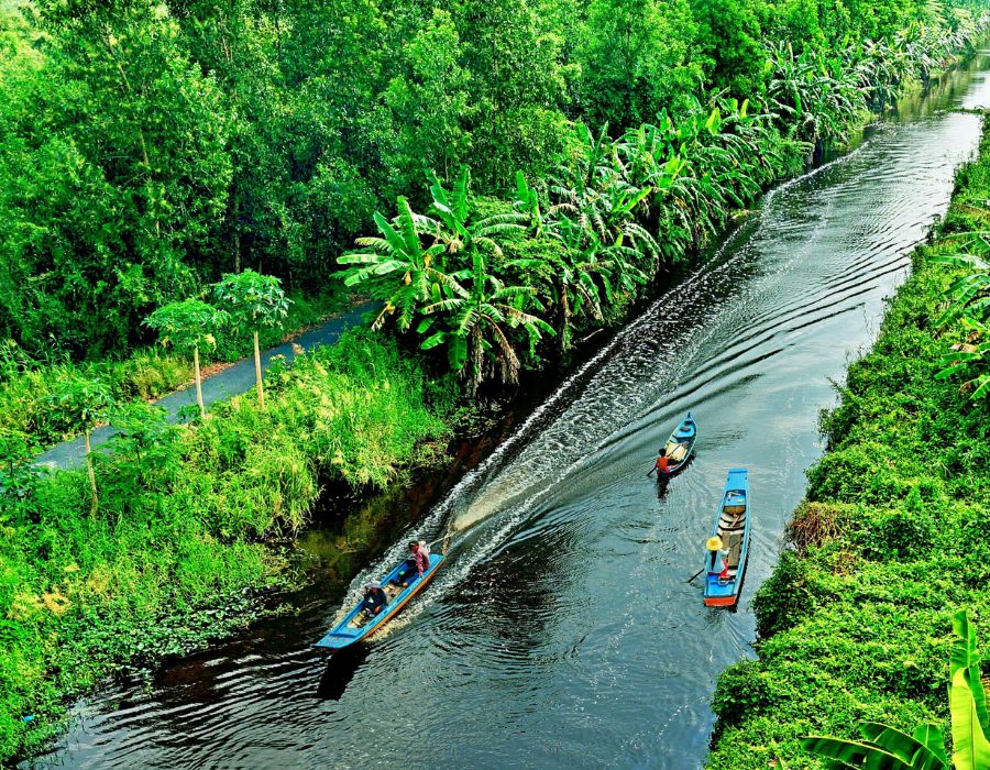 RỪNG U MINH HẠ