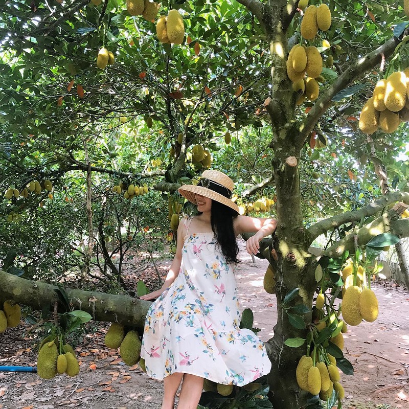 Vườn trái cây