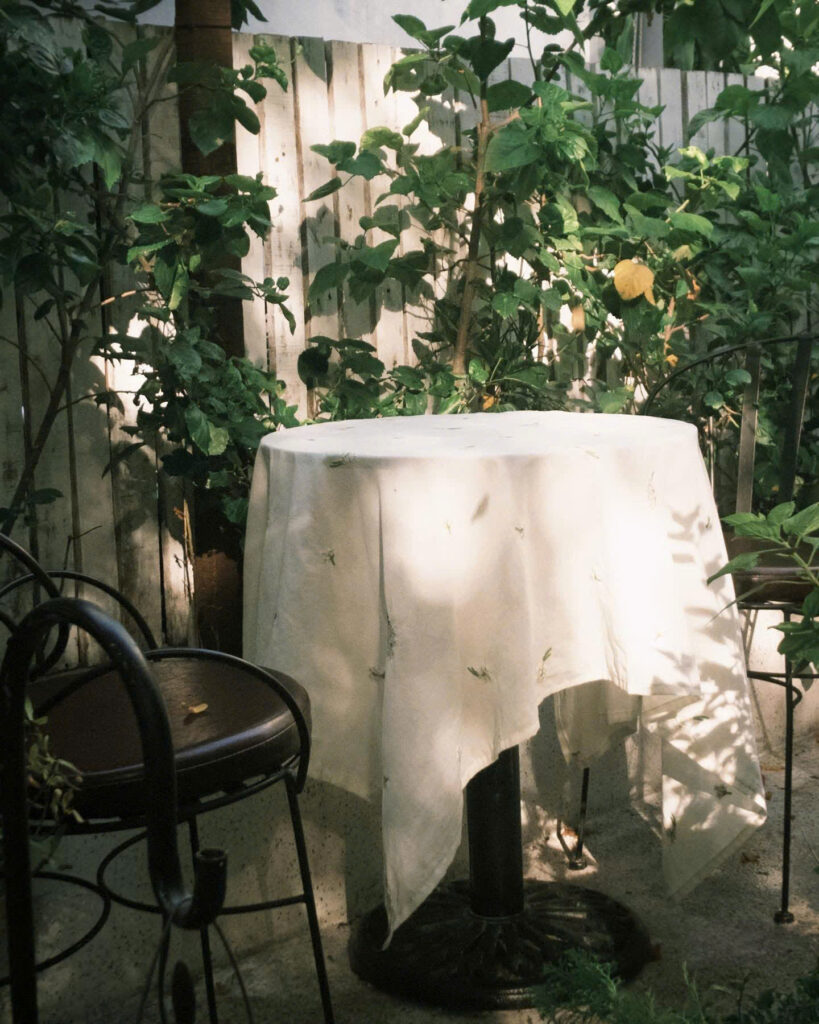 CAFE VƯỜN