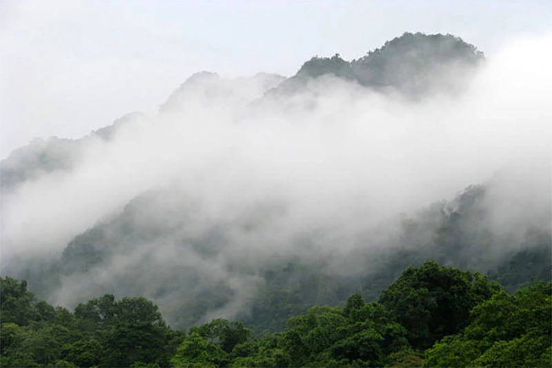 Vườn quốc gia Cúc Phương
