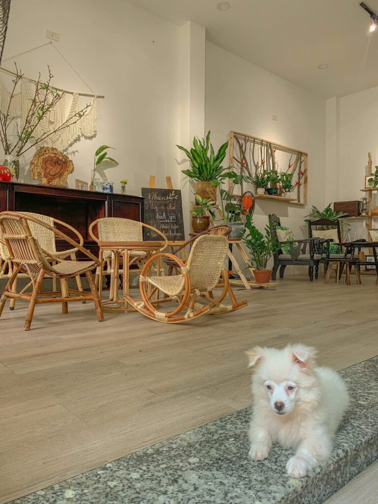 CAFE VƯỜN