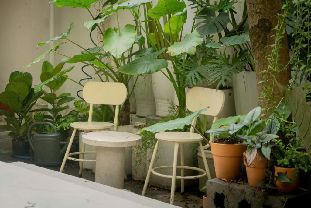 CAFE VƯỜN