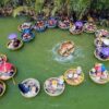 Rừng dừa Bảy Mẫu