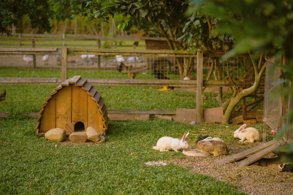 FARM