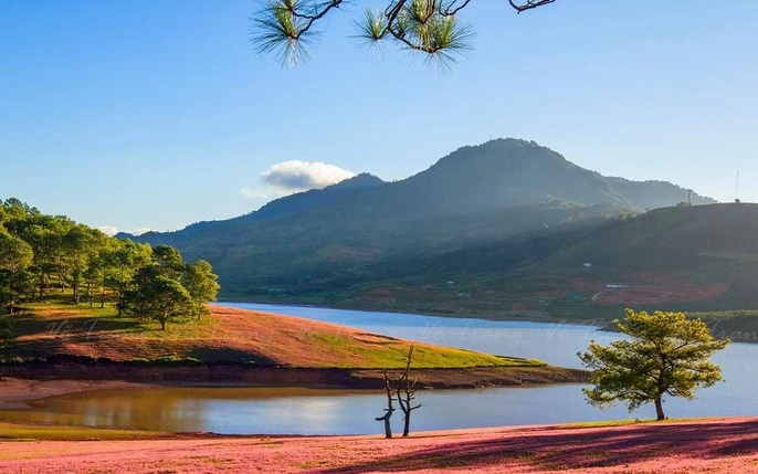 Điểm Du Lịch Đà Lạt