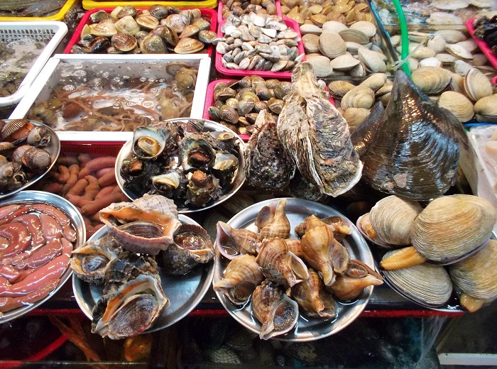 Tour Cù Lao Chàm