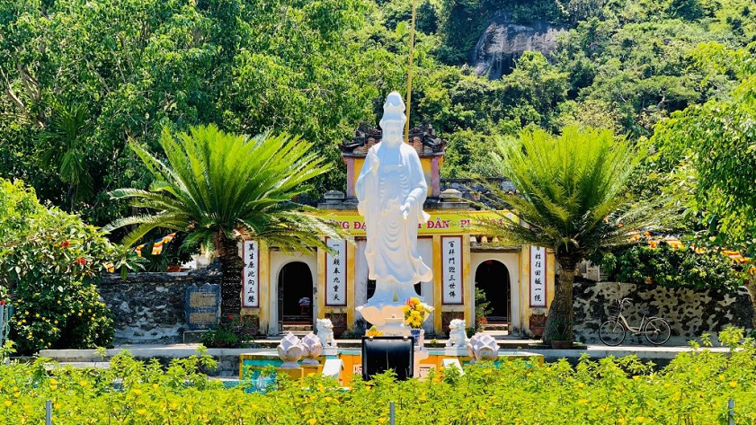 Tour Cù Lao Chàm