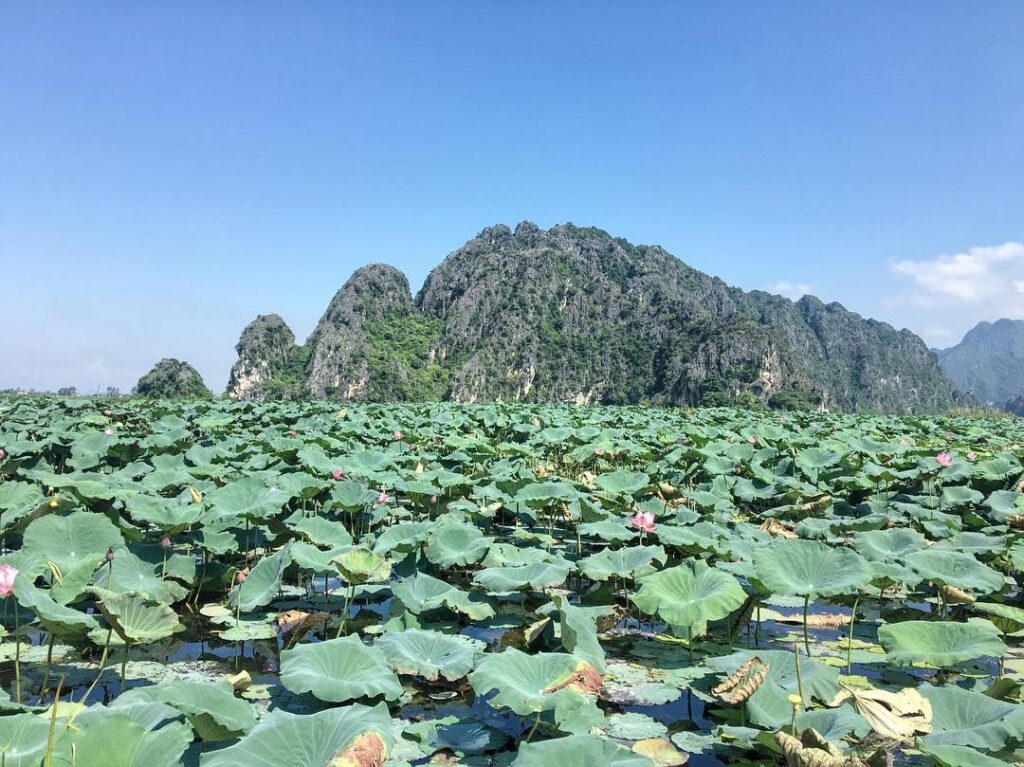 Ninh Bình