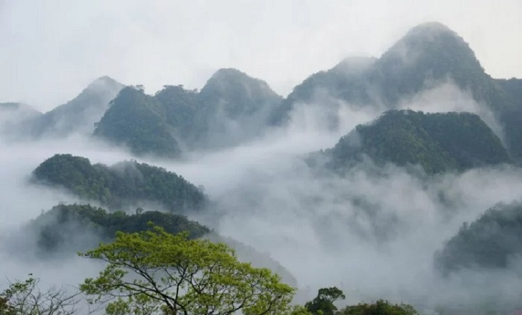 Vườn quốc gia Cúc Phương