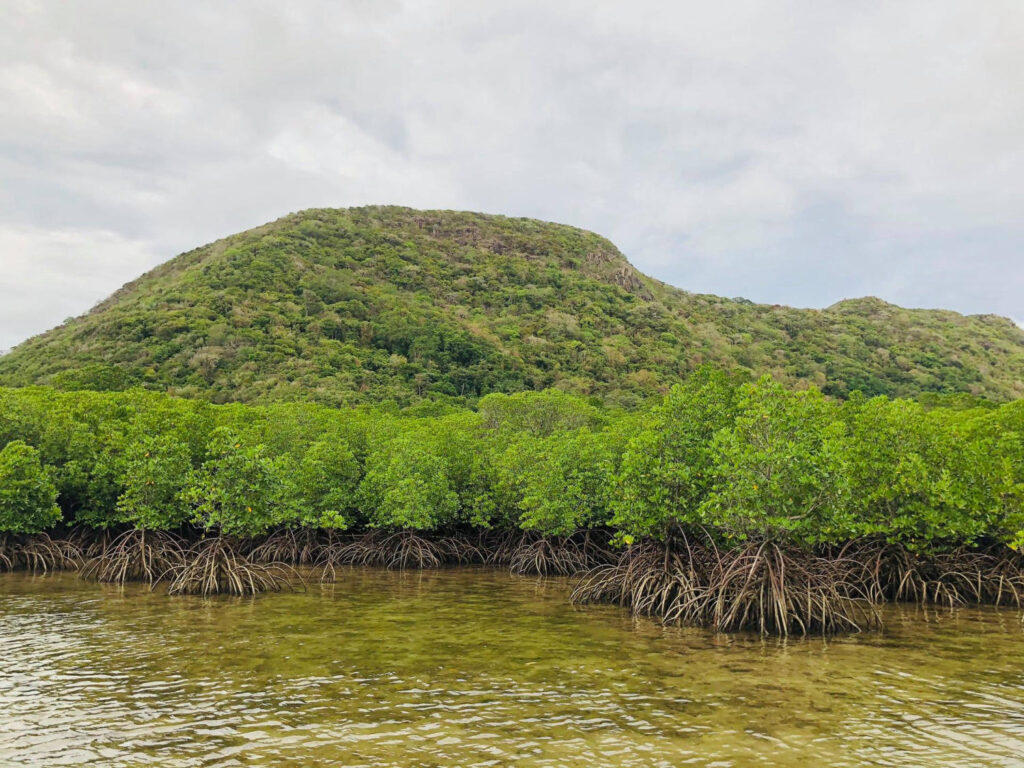 Côn Đảo