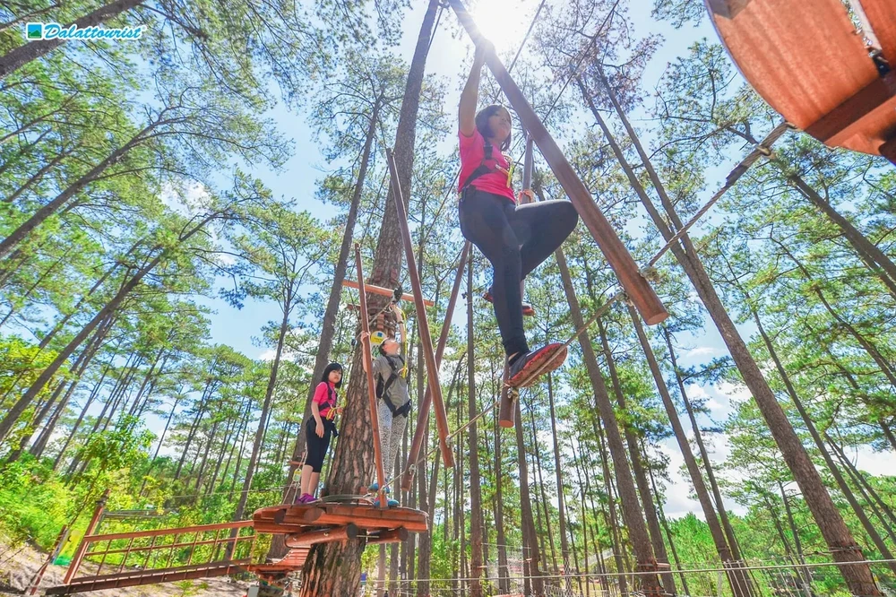 Tour Đà Nẵng – Đà Lạt 3N2Đ