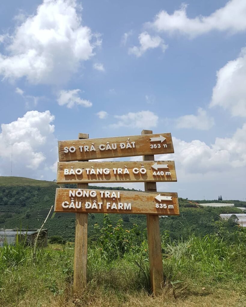 Tour Đà Nẵng – Đà Lạt 3N2Đ