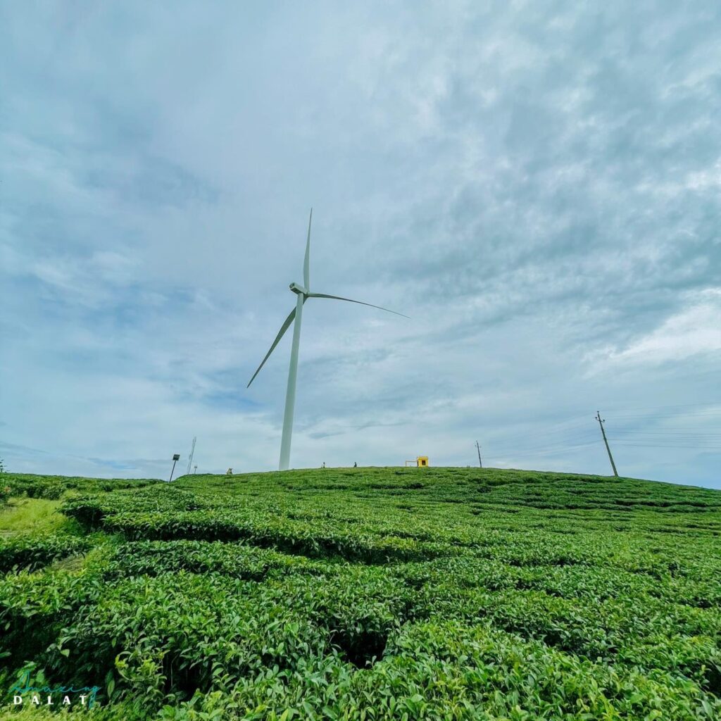 Tour Đà Nẵng – Đà Lạt 3N2Đ