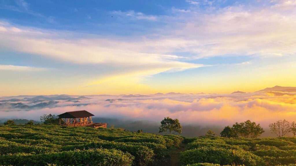 Tour Đà Nẵng – Đà Lạt 3N2Đ