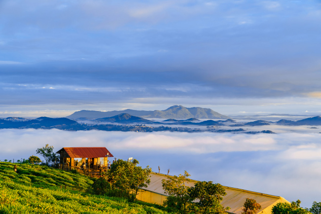 Tour Đà Nẵng – Đà Lạt 3N2Đ