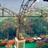 Tour Đà Nẵng – Đà Lạt 3N2Đ