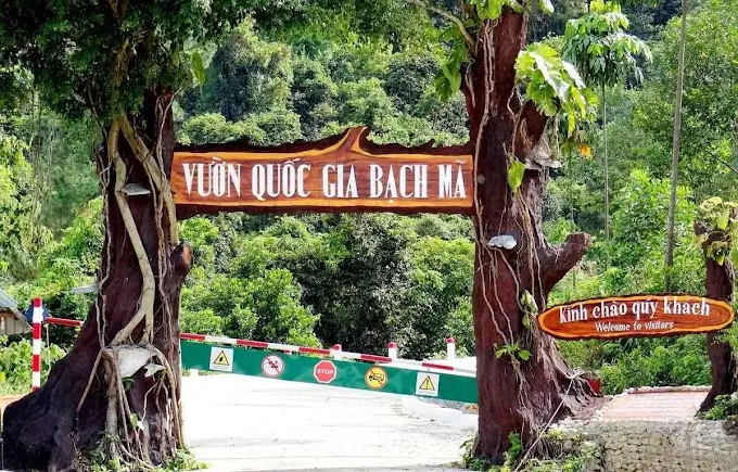 TOUR ĐÀ NẴNG – HUẾ 3N2Đ