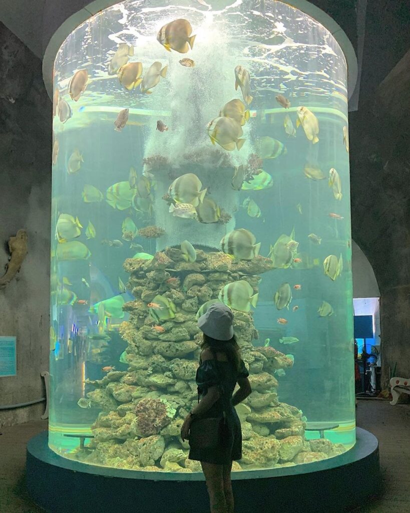 địa điểm du lịch Nha Trang