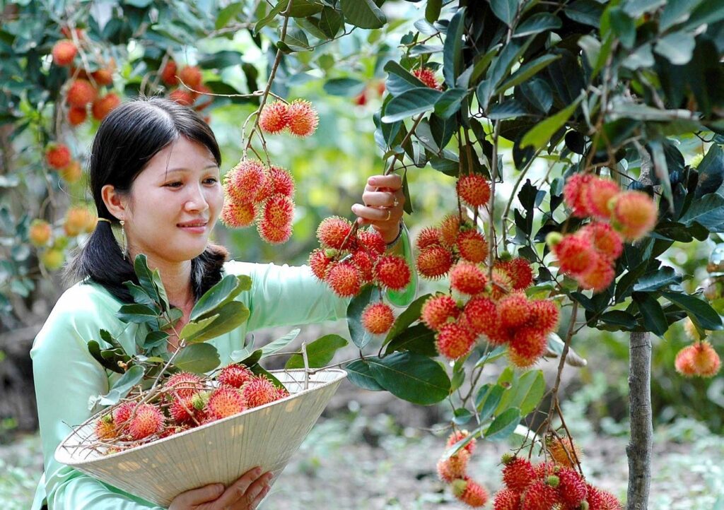 Cù Lao Thới Sơn