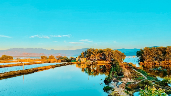 TOUR ĐÀ NẴNG – PHAN THIẾT – ĐẢO BÌNH HƯNG