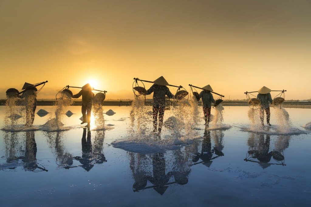 Tour Đà Nẵng – Phan Thiết – Bình Hưng