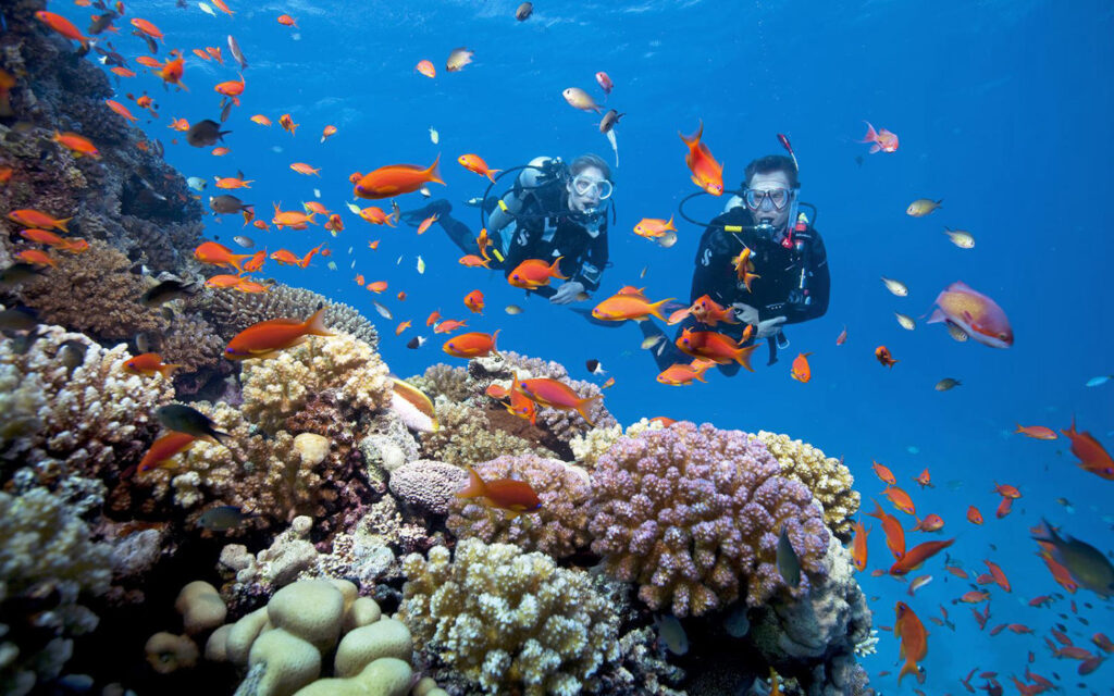 Tour Đà Nẵng Ninh Thuận 3N2Đ