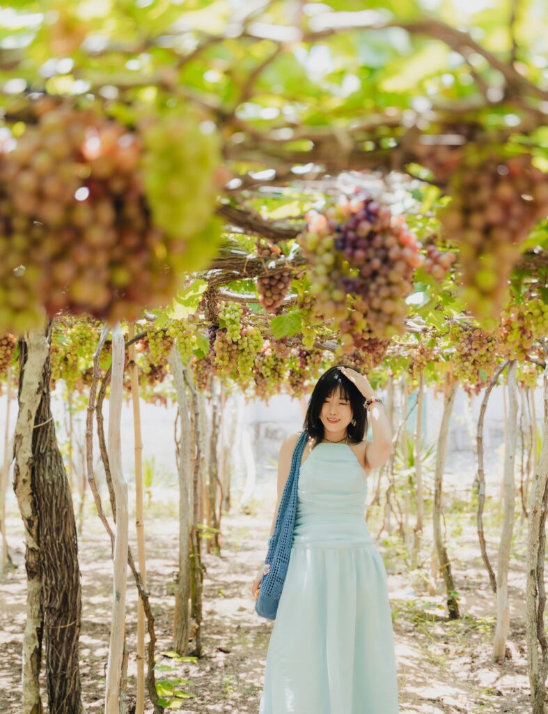 Tour Đà Nẵng Ninh Thuận 3N2Đ