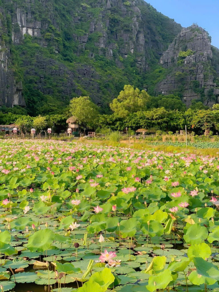 Tour Đà Nẵng – Ninh Bình 4N3Đ