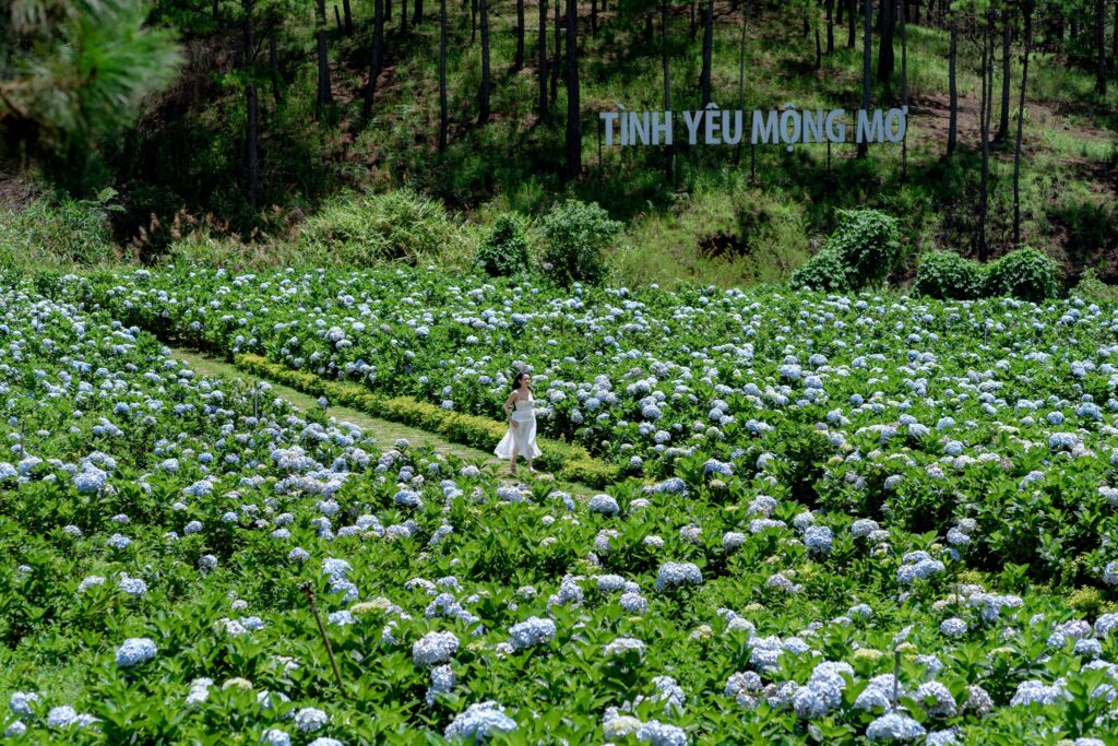 Tour Đà Lạt Nha Trang 5N4Đ