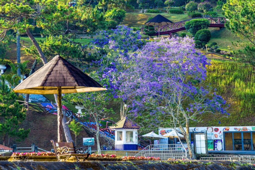 Tour Đà Lạt Nha Trang 5N4Đ