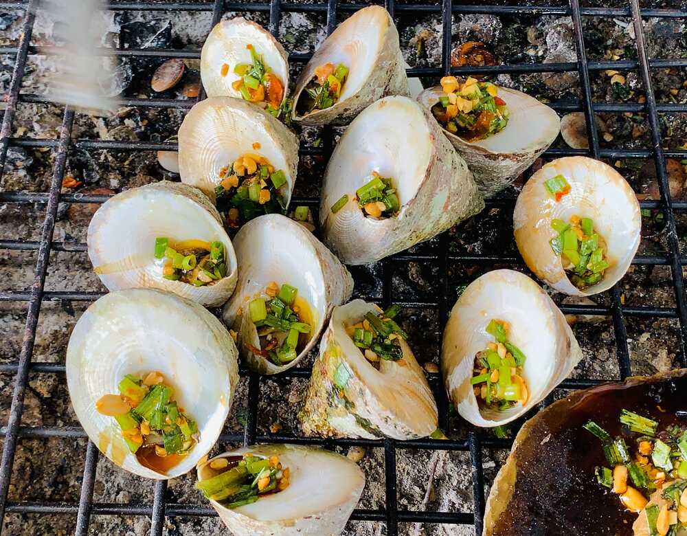 tour Đà Nẵng – Hội An – Cù Lao Chàm 2N1Đ
