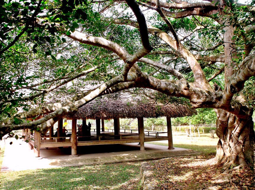 tour Đông Bắc 5N4Đ