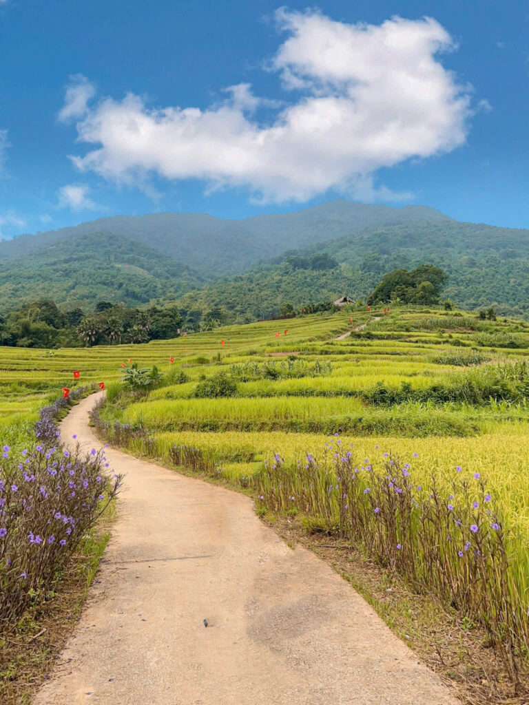Pù Luông