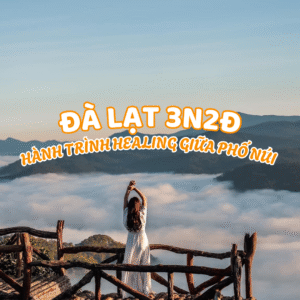 TOUR ĐÀ LẠT 3N2Đ – HÀNH TRÌNH HEALING NHẸ NHÀNG GIỮA PHỐ NÚI