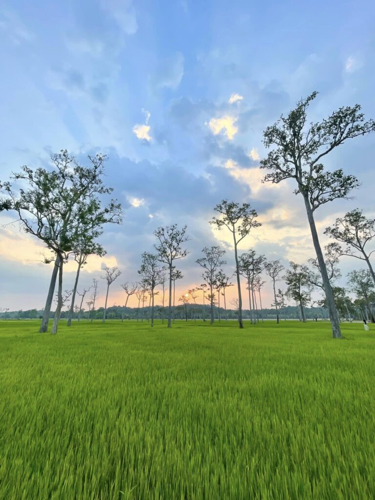 ĐỒNG NAI