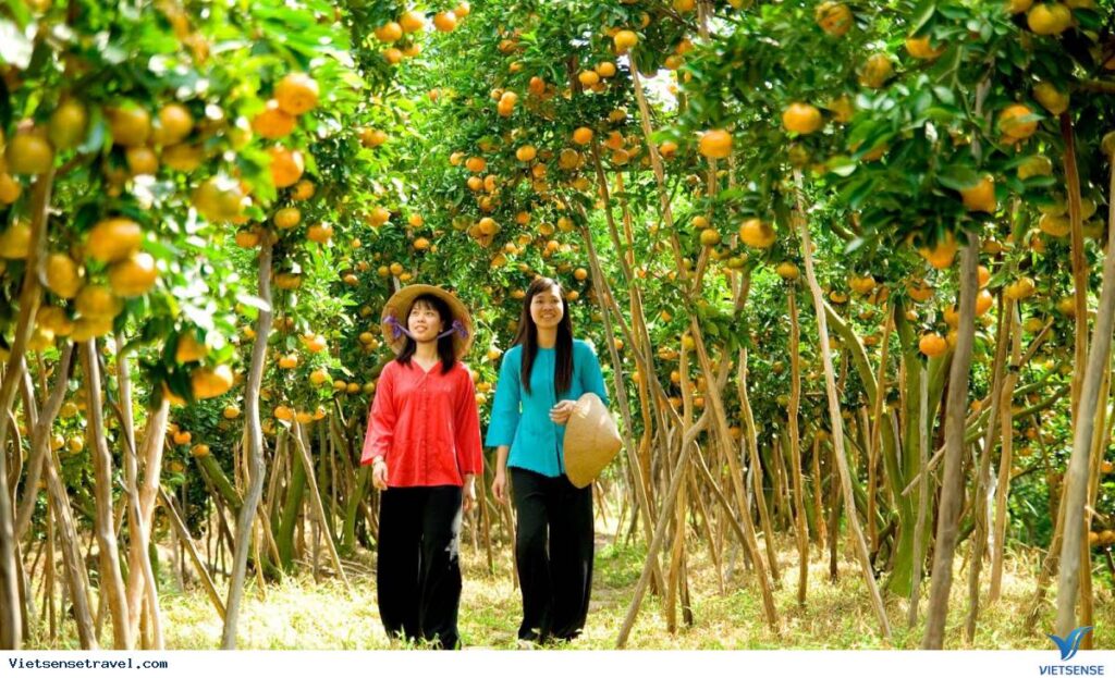 Miền Tây