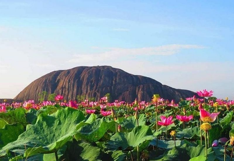 ĐỒNG NAI