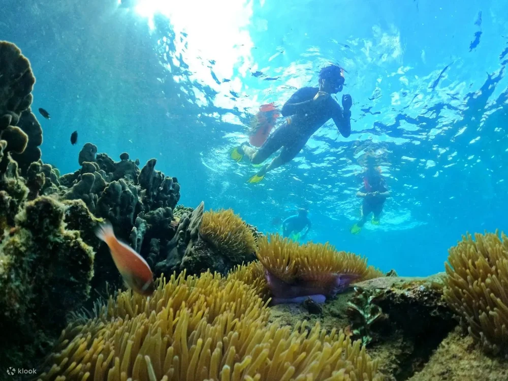 ĐIỂM ĐẾN