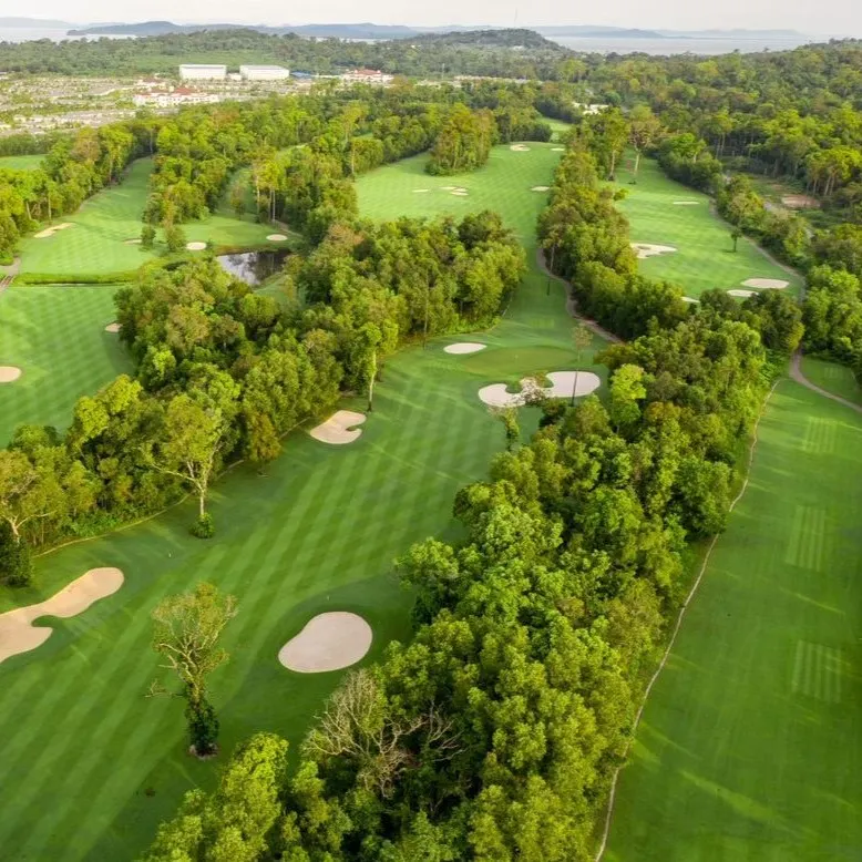 TOUR GOLF